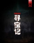 寻宝记(谜小说系列)