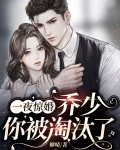 一夜惊婚霸道靳少有点坏