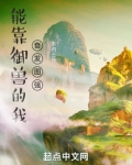 开局一只龟 叶缺
