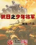 抗日之少年将军 小说