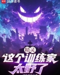 精灵训练家小说