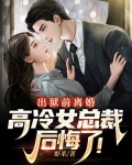 出狱前离婚,高冷女总裁后悔了!
