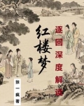 红楼梦中的经典回目