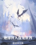 刚成大圆满，地球并入盘龙世界