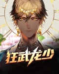 狂武龙少
