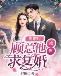 离婚后总裁跪求复婚免费阅读