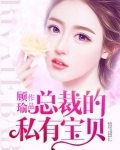 总裁的私有宝贝