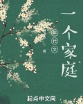 年代文，一个家庭