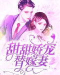 替嫁甜文宠文的小说