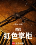 谍战红色掌柜小说