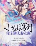 小仙驾到：这只猫儿有点傲！