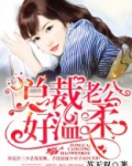 总裁老公好温柔盛夏全文免费