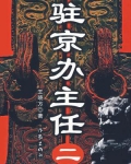 驻京办主任二