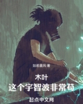 木叶：这个宇智波非常苟