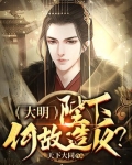 大明：陛下何故造反？
