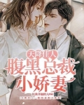 天降三宝:腹黑总裁的落魄妻全文免费阅读