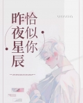 昨夜星辰恰似你快穿TXT