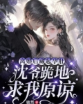离婚后藏起孕肚，沈爷跪地求我原谅