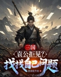 三国袁公是谁
