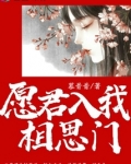 愿君入我相思门全文免费阅读