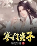 寒门贵子陆青云小说