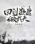 回到盛唐做武夫免费阅读