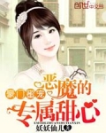 豪门蜜宠:恶魔的专属甜心