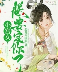 小宫女求升级 小说
