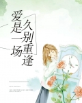 爱是一场久别重逢苏落落