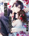 总裁契约新娘别想离婚