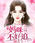 六宝当道：妈咪不好追