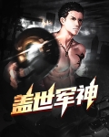 盖世神将小说
