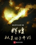 辉煌从菜园子开始番茄小说