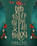 特级文物她办案超凶