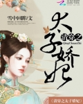 清穿之太子娇妃 雪中回眸百度云