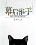 幕后推手（娱乐圈）